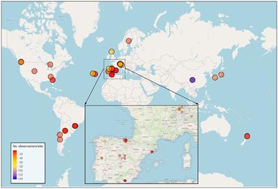 Global patterns and drivers of coniferous leaf-litter decomposition in streams and rivers